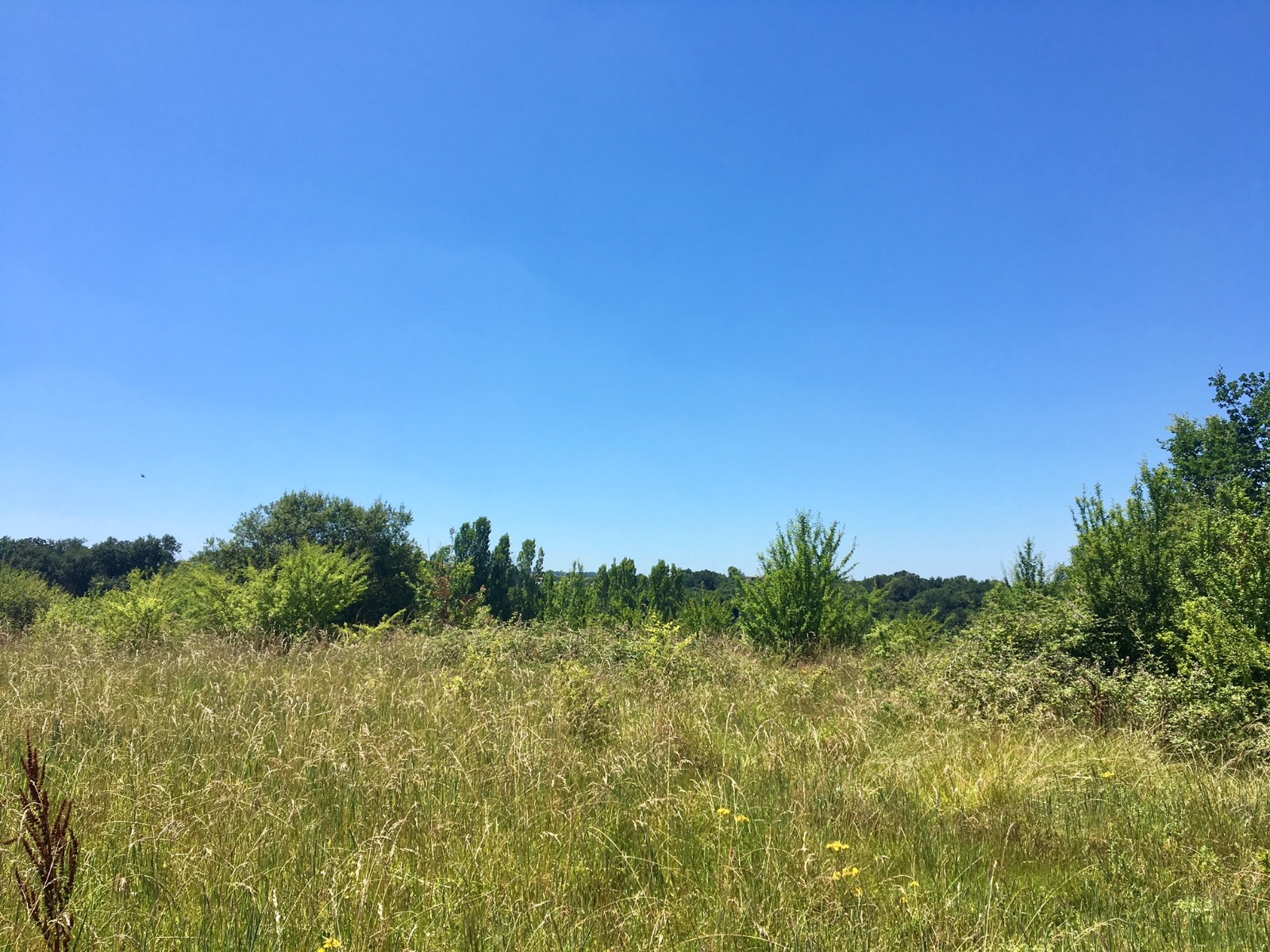 Vente Terrain D agr ment vente-terrain-d-agr-ment